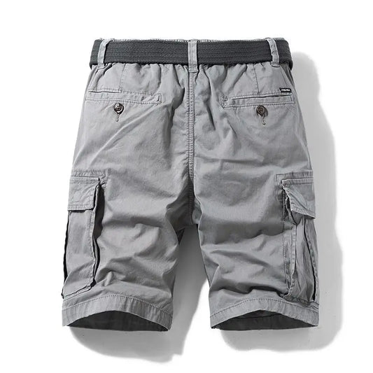 Cargo-2-go Shorts
